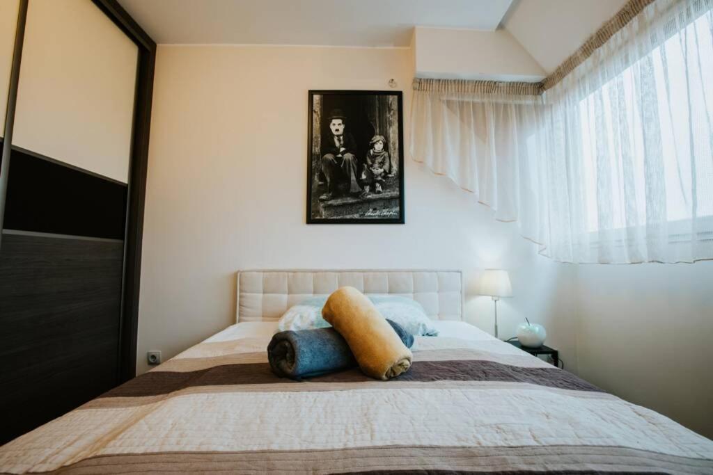 Nyugalom A Belvarosban Segedín Exteriér fotografie